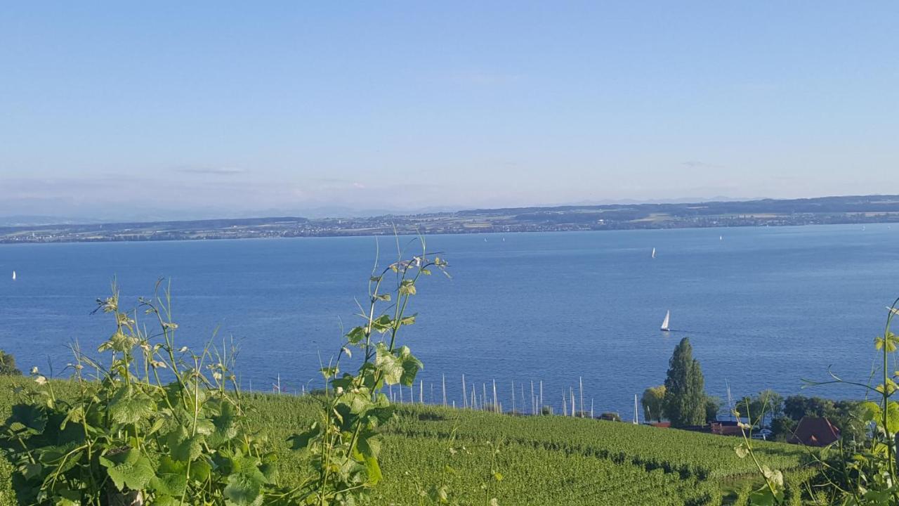 Studio Bodensee Daisendorf Esterno foto
